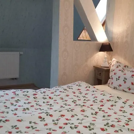 Zum Buddje Apartment