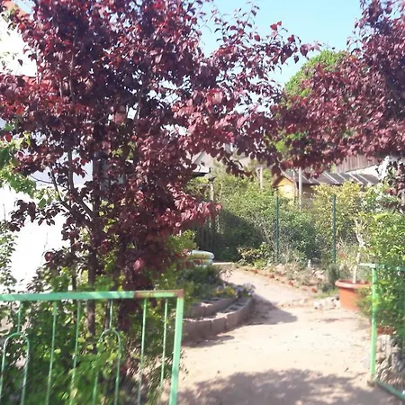 Zum Buddje Garz (Rugen)