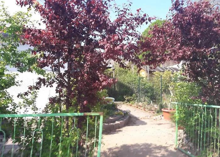 Zum Buddje Garz (Rugen)